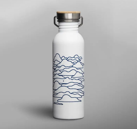 Borraccia Hampton bottle ACC157P