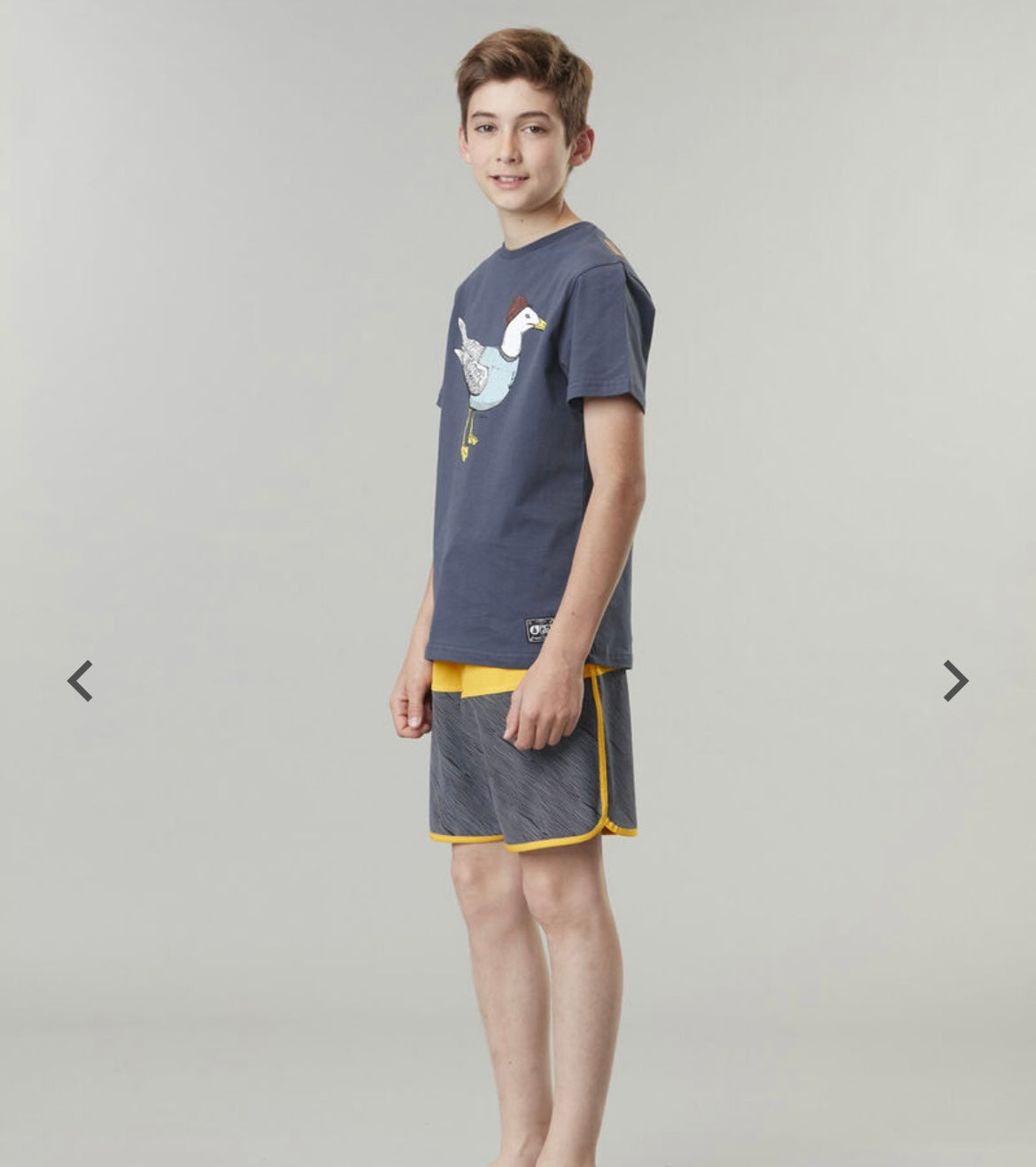 COSTUME BAMBINO ANDY KIDS BRDS PICTURE ORGANIC