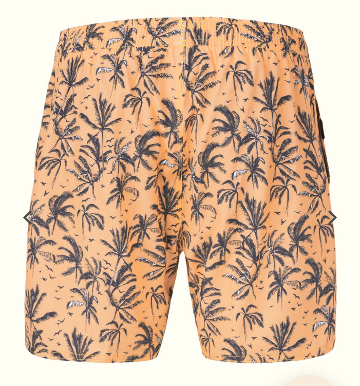 COSTUME UOMO PIAU 15 BRDS