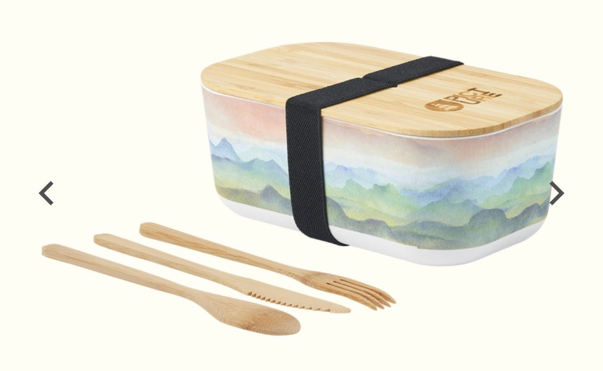 CONTENITORE EBI BENTO