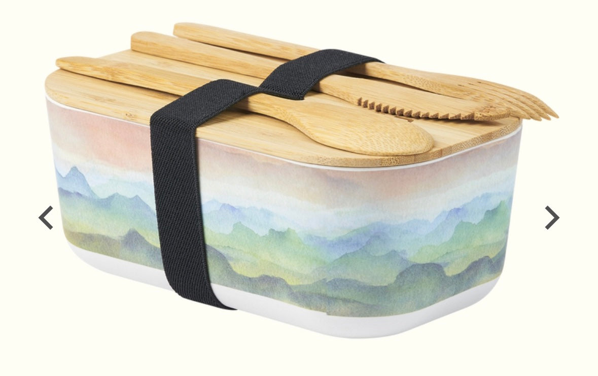 CONTENITORE EBI BENTO