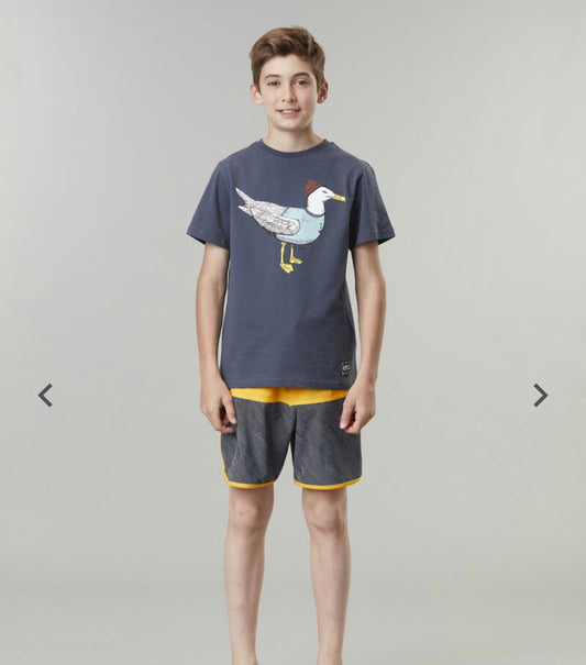 COSTUME BAMBINO ANDY KIDS BRDS PICTURE ORGANIC